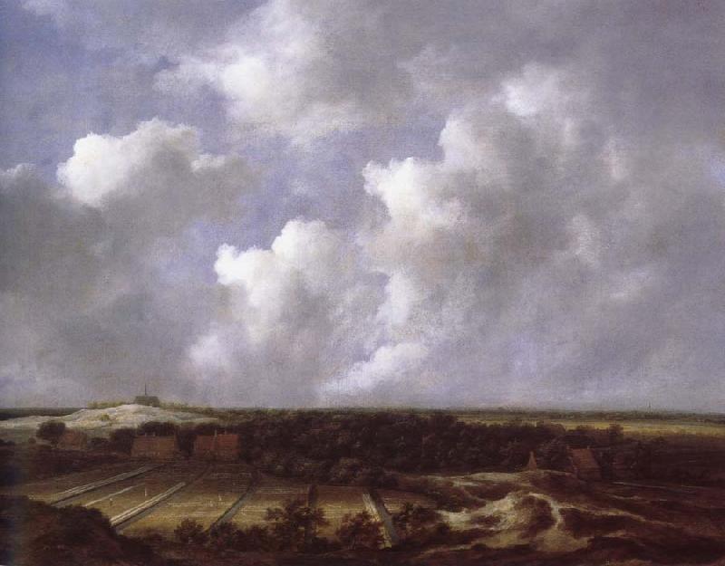 Jacob van Ruisdael View of the Dunes near Bl oemendaal with Bleaching Fields Sweden oil painting art